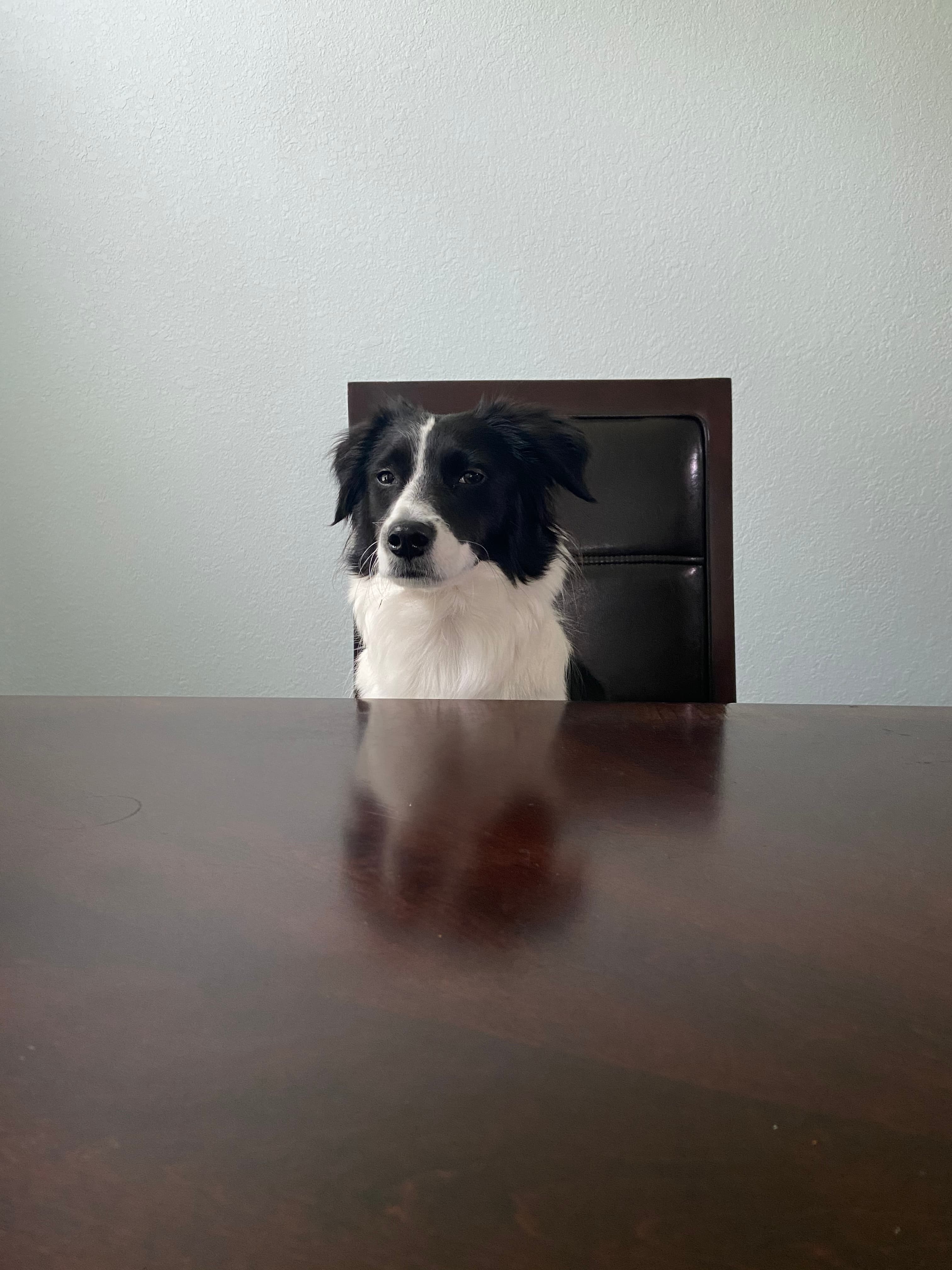 john profile photo